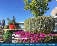 The Plant Management Company image 4